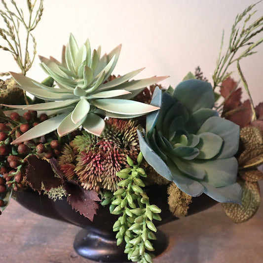 Feeling Blue Succulent