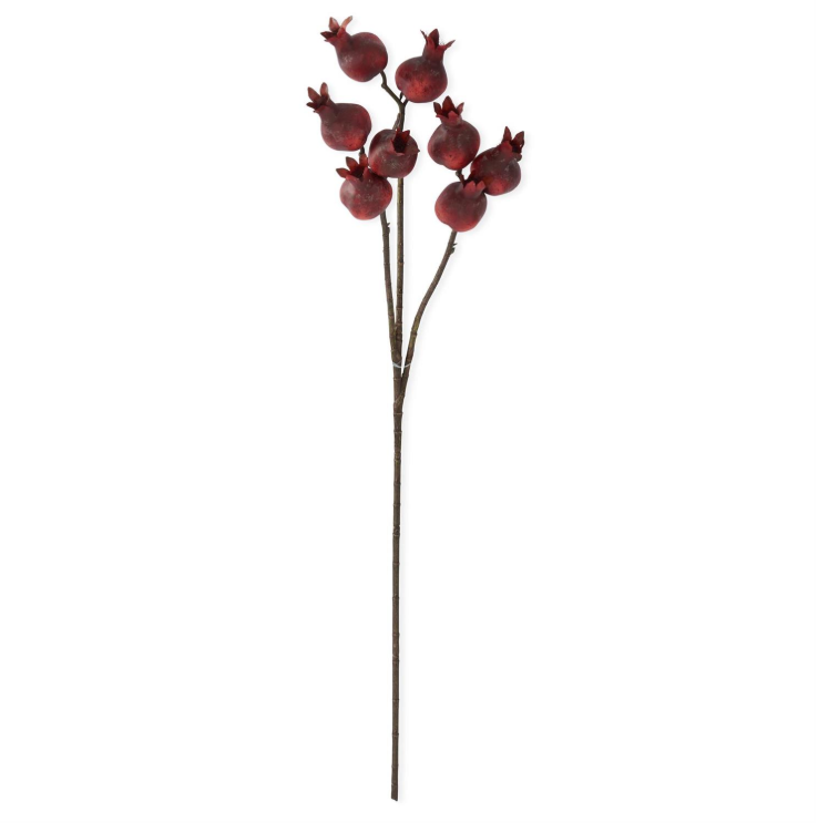 Burgundy Pomegranate Stem