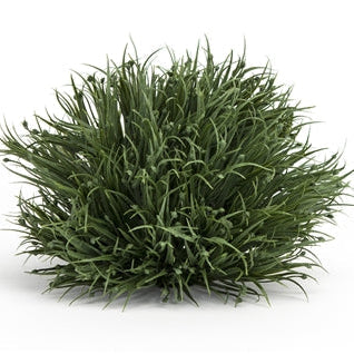 Half Orb 7”D Plastic