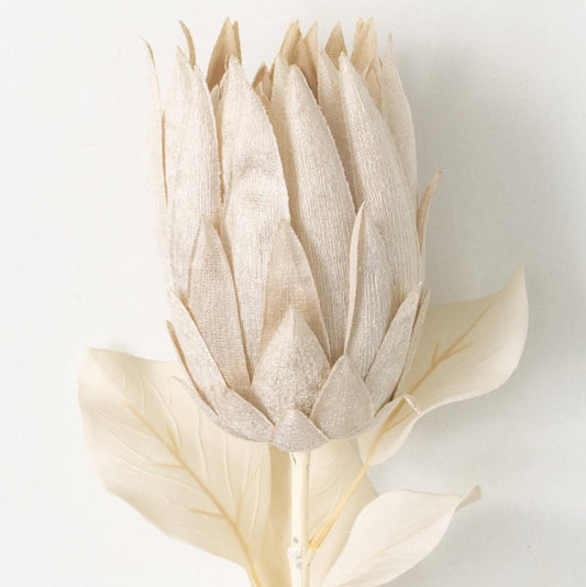 Protea Spray - Cream