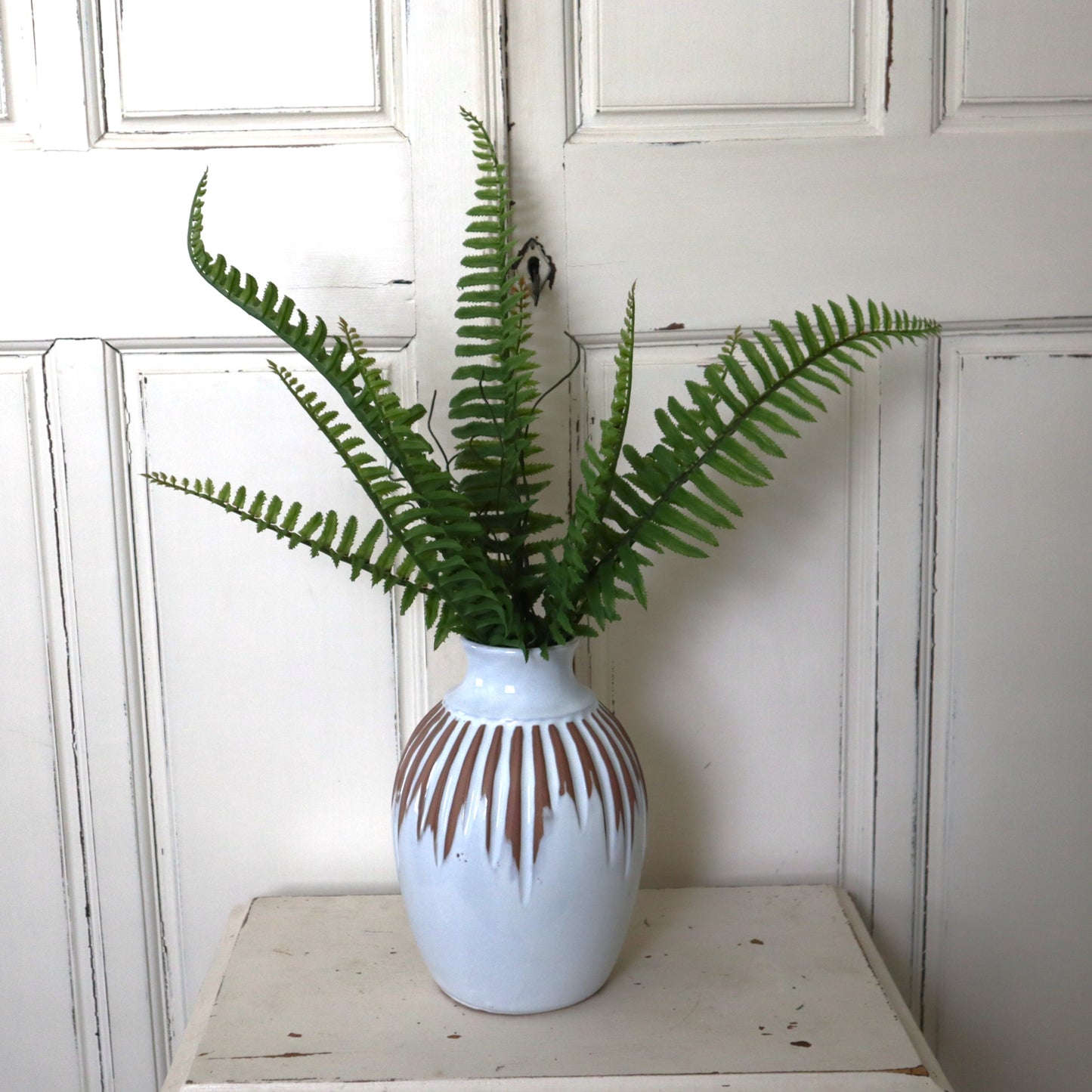 Boston Fern Bush green