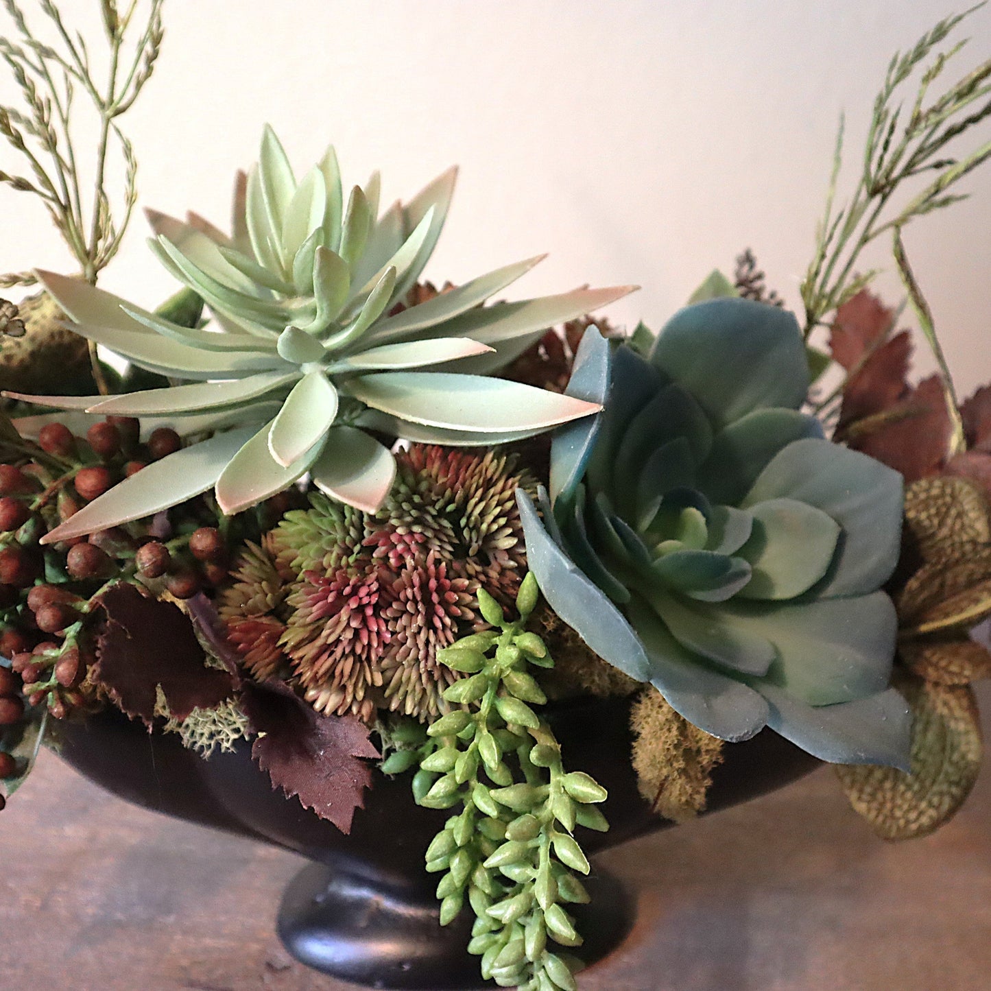 Feeling Blue Succulent