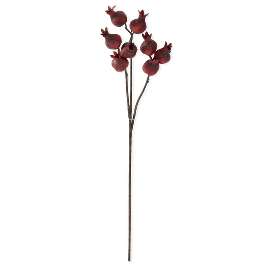 Burgundy Pomegranate Stem