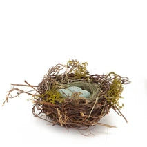 Robin's Nest w/Eggs