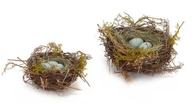 Robin's Nest w/Eggs