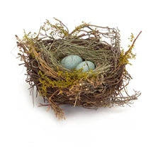 Robin's Nest w/Eggs